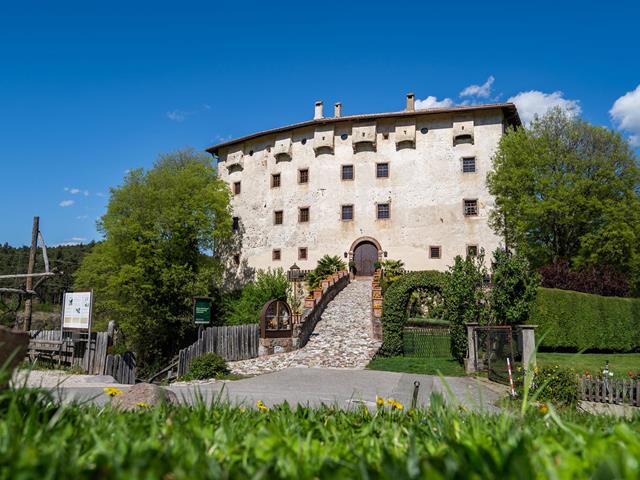 fruehling-prissian-katzenzungen-2022-rene-gamper-re206613-fenster-zu