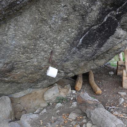 Kunstprojekt: “Die Natur ist nicht deine Toilette”