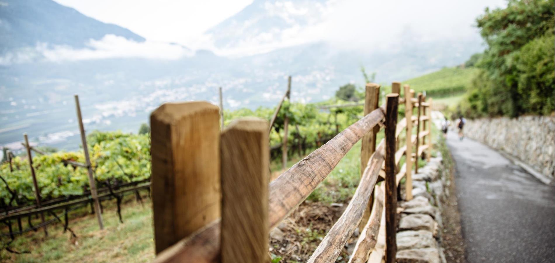 Sollte es regnen, schaut in die Weite