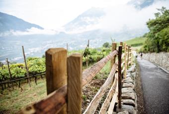 Sollte es regnen, schaut in die Ferne