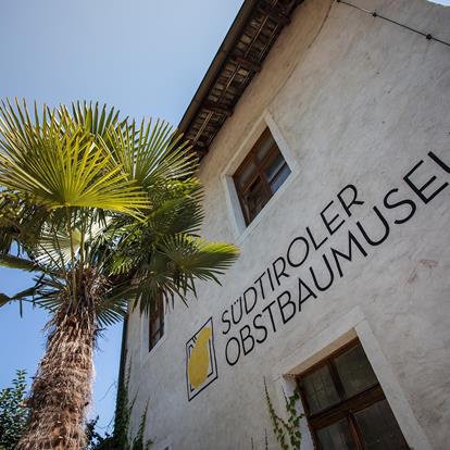 Museen und Ausstellungen in Lana und Umgebung