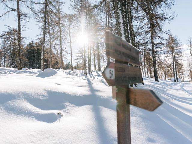 -tv-hafling-voeran-meran-2000-benjamin-pfitscher-2025-winter-30