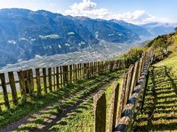 Alta Via di Merano: Da Monte S. Caterina a Unterstell