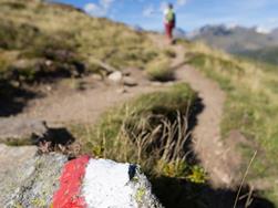 Alpine Tour to the Hochwart Mountain (2, 454 m)