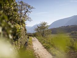 Scena to Saltaus via the Maiser Waalweg trail