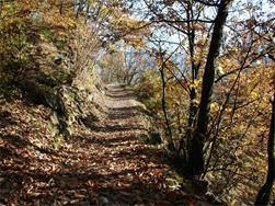 Terrainkurweg 5 -  Partschins - Sonnenberger Panoramaweg - Naturns