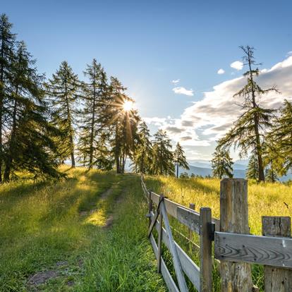 Energiequellen am Tschögglberg