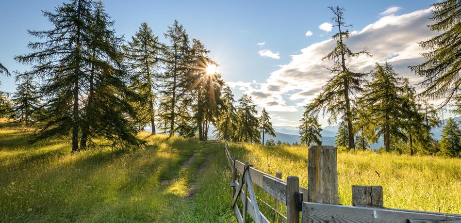 Energiequellen am Tschögglberg
