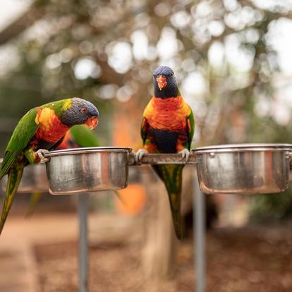 Raffeiner Orchideenwelt in Gargazon