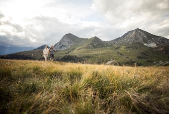 Wandern in Südtirol am Tschögglberg – Naturgenuss mit Weitblick