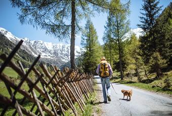 Holiday with Dog in Passeiertal Valley