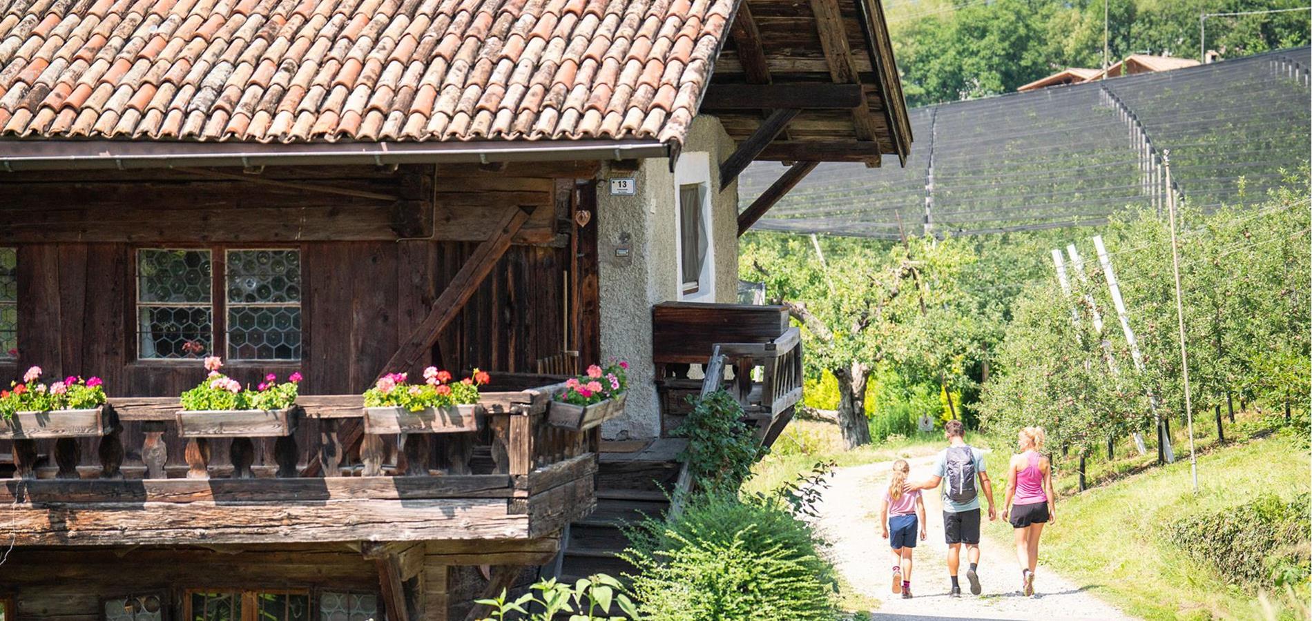 Wandern, Chrom und Törggelen