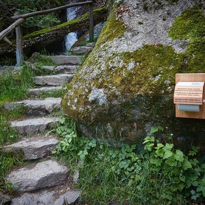 Unsere Projekte für eine grünere Zukunft