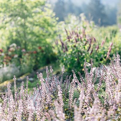 Naturgartenwettbewerb Passeiertal 2024