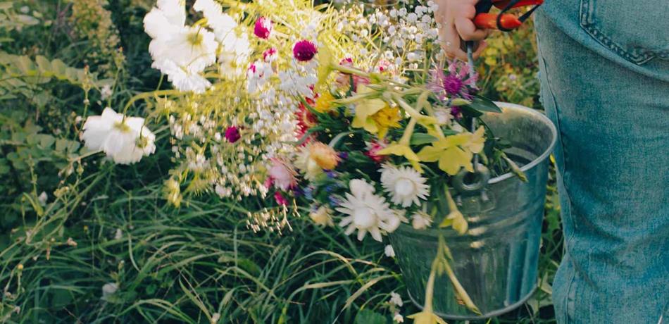 Ich will ein Garten sein