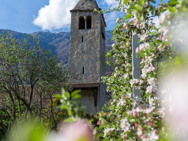 st-prokulus-kirche-kultur-bluete-tg-naturns-santer-peter-1