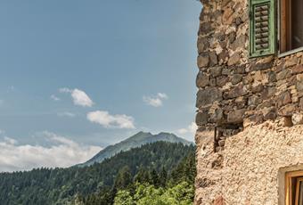 La carta vantaggi in Alta Val di Non: Alto Adige Guest Pass