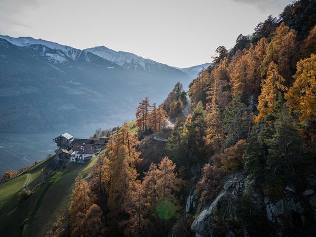 herbst-natur-bunt-tg-naturns-philipp-reiter-26