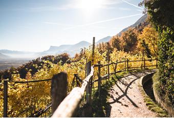 The Waalweg Trail of Marling