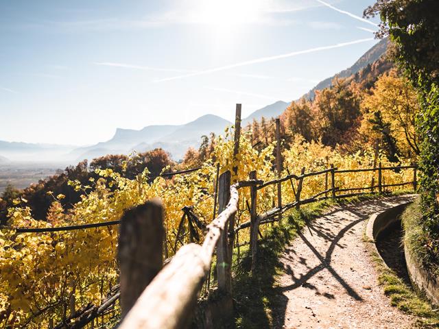 The Waalweg Trail of Marling