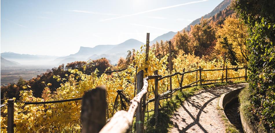 The Waalweg Trail of Marling