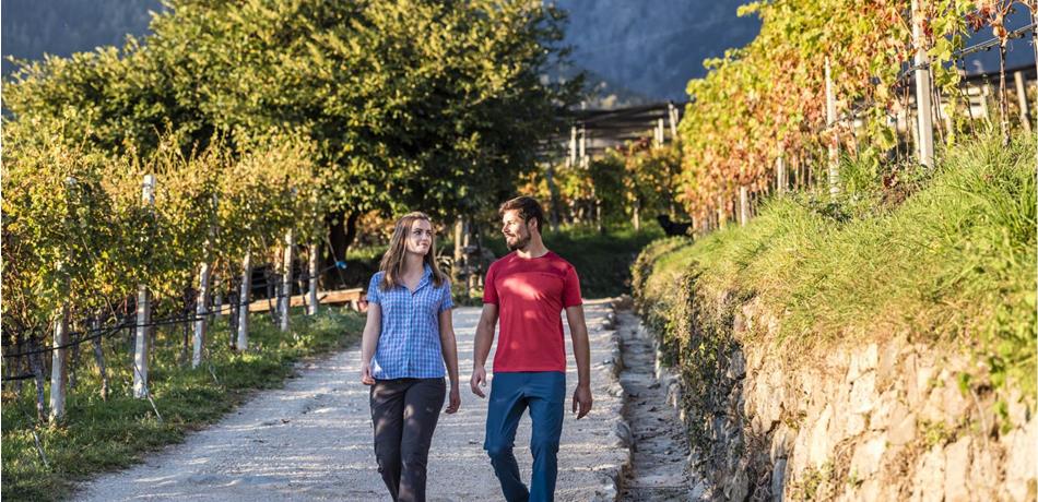 The Weinweg Wine Trail in Tirolo