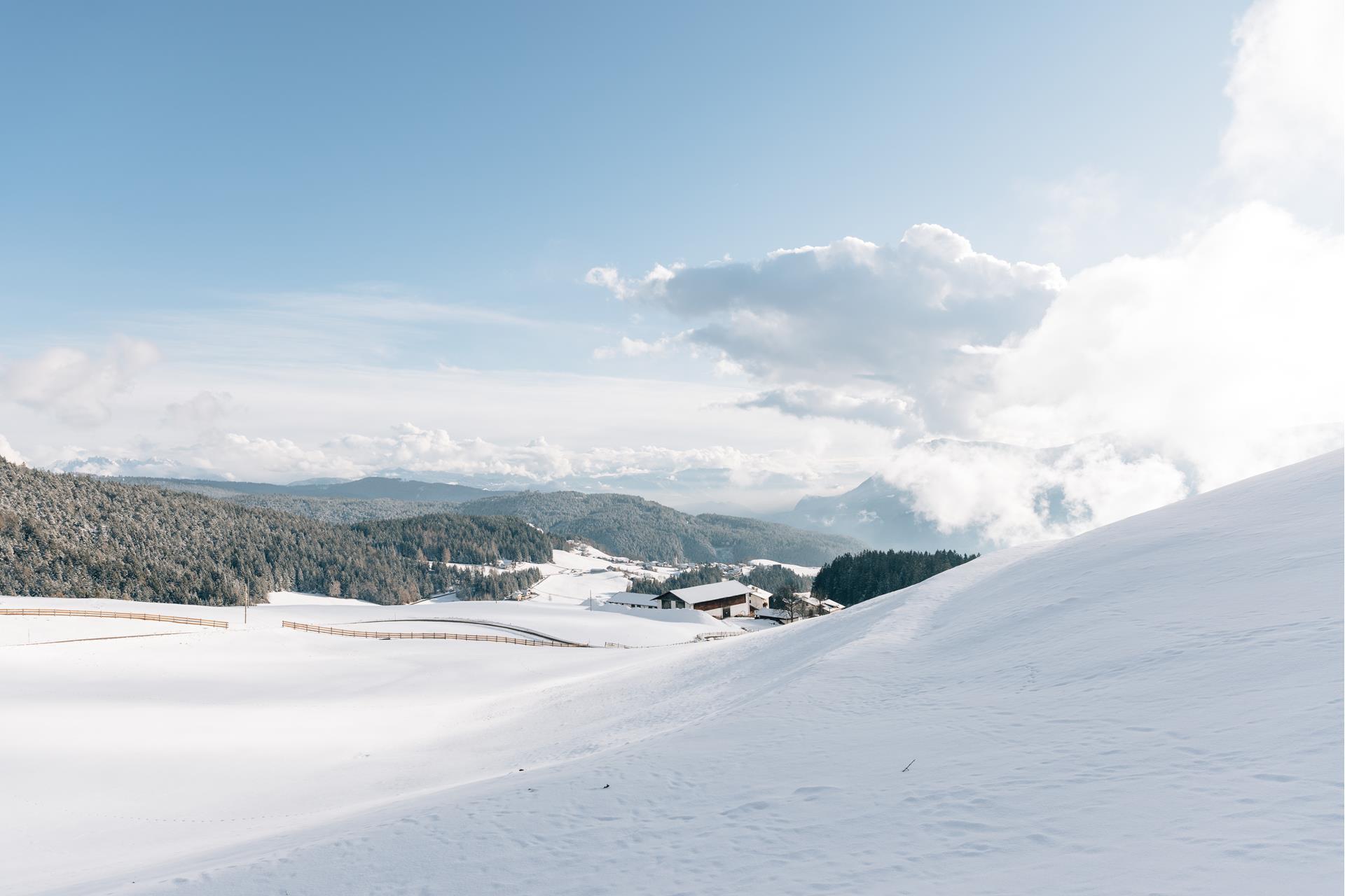 Snow-covered meadow in Vöran in South Tyrol. Bright blue sky. A farm and vast forests in the background.