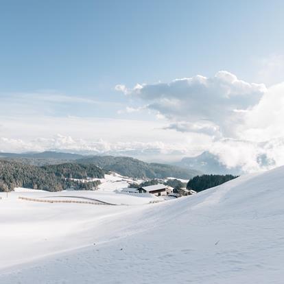 Prato innevato a Vöran, inTrentino-Alto Adige. Cielo azzurro brillante. Sullo sfondo una fattoria e vasti boschi.