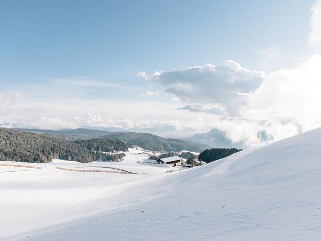 Prato innevato a Vöran, inTrentino-Alto Adige. Cielo azzurro brillante. Sullo sfondo una fattoria e vasti boschi.