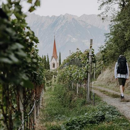 Lana connects. Movement and memories.