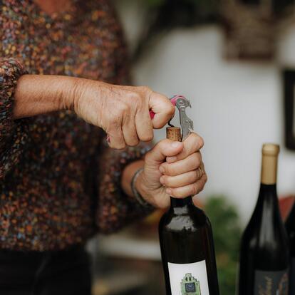 Weinverkostungen & mehr in der Region Lana in Südtirol